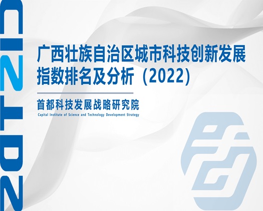 丝袜花径棒【成果发布】广西壮族自治区城市科技创新发展指数排名及分析（2022）